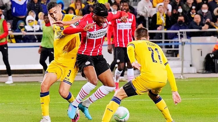 供新鲜和详 供新鲜和详