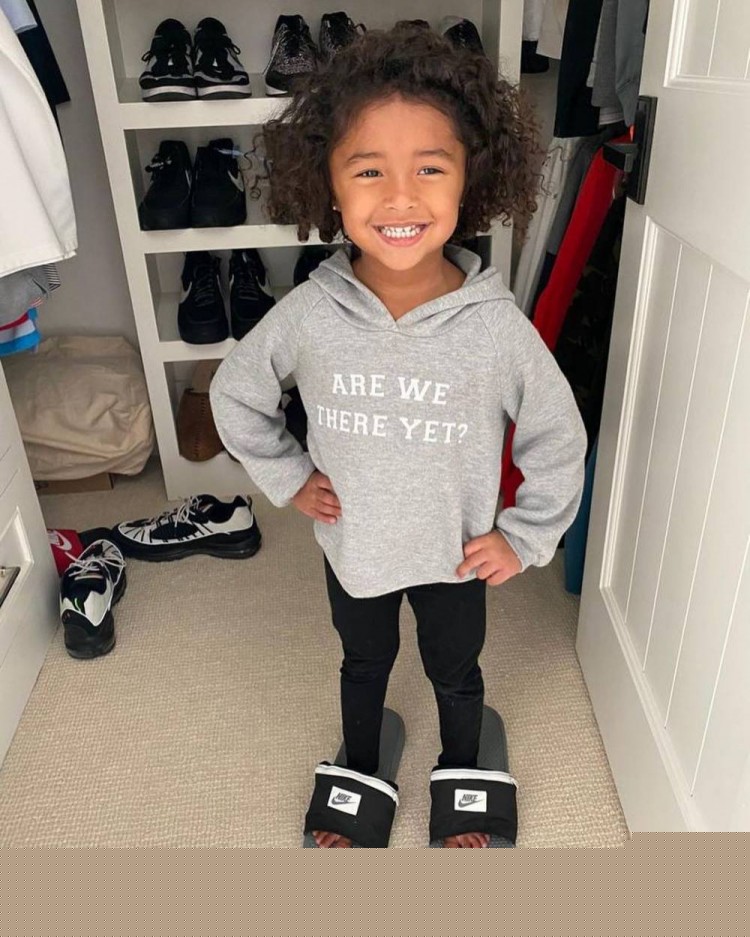 紫百合持续 紫百合持续